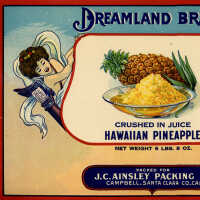 Label: Dreamland Brand Hawaiian Pineapple