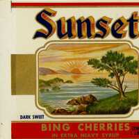 Label: Sunset Bing Cherries