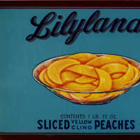 Label: Lilyland Sliced Yellow Cling Peaches