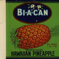 Label: Bi-A-Can Broken Slices Hawaiian Pineapple