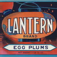 Label: Lantern Brand Egg Plums