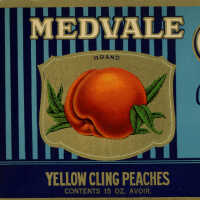 Label: Medvale Yellow Cling Peaches