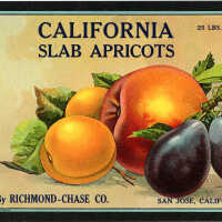 Label: California Slab Apricots
