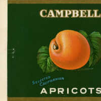 Label: Campbell Selected Californian Apricots