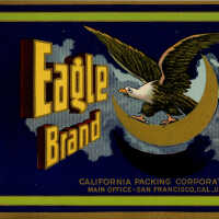 Label: Eagle Brand Muscat Grapes