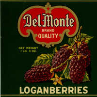Label: Del Monte Brand Loganberries