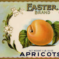 Label: Easter Brand Apricots