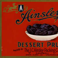 Label: Ainsley