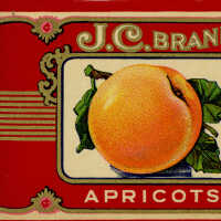 Label: J.C. Brand Apricots