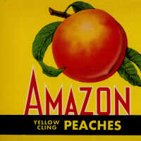 Label: Amazon Yellow Cling Peaches