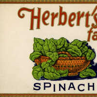 Label: Herbert