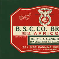 Label: B.S.C.Co. Brand Solid Pack Apricots (Below U.S. Grade)