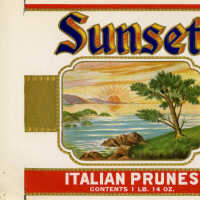 Label: Sunset Italian Prunes