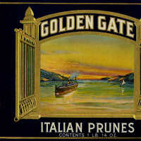 Label: Golden Gate Italian Prunes