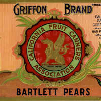 Label: Griffon Brand Bartlett Pears