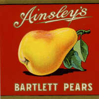 Label: Ainsley