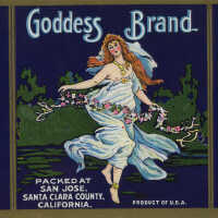 Label: Goddess Brand Royal Anne Cherries
