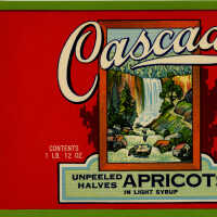 Label: Cascade Unpeeled Apricot Halves