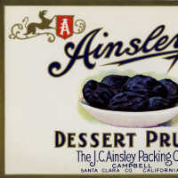 Label: Ainsley