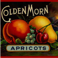 Label: Golden Morn Apricots
