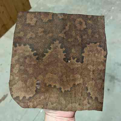 Shark Skin