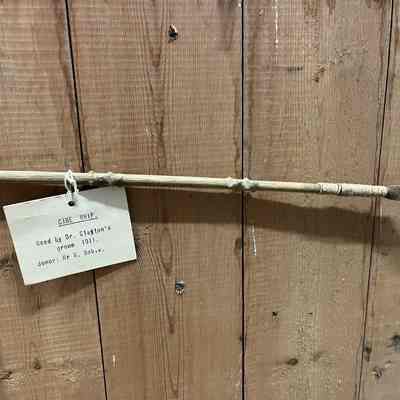 Cane Whip