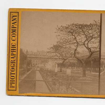 Stereograph