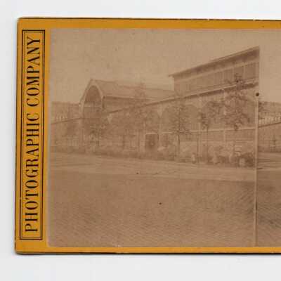 Stereograph