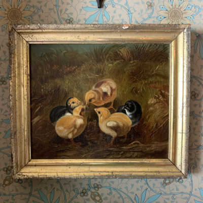 Untitled (Five Chicks)