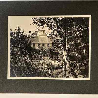 Photograph