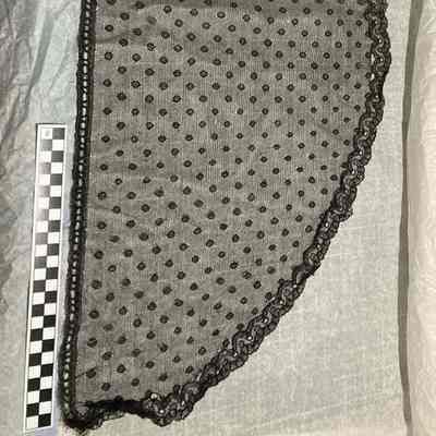 Veil