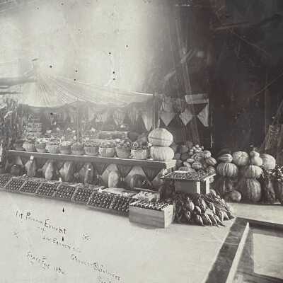 Photograph