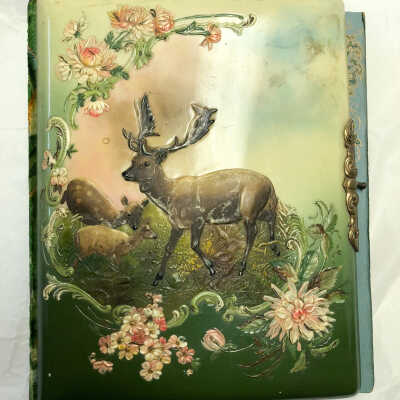 Album, Photograph