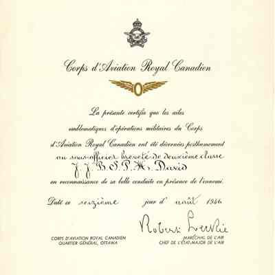 97/Armstrong Crew: David, Les Ailes Emblematiques