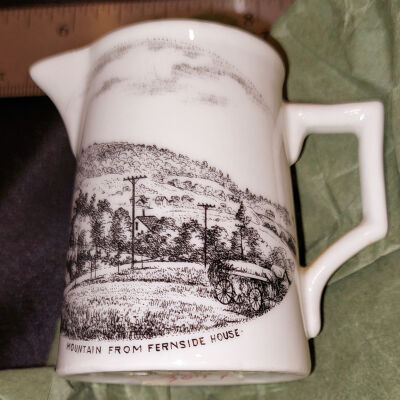 Small Pitcher