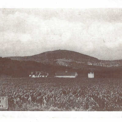 View Mt. Wachusett & Delano Farm From Sunset Rock