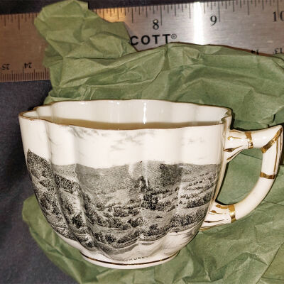 Tea Cup