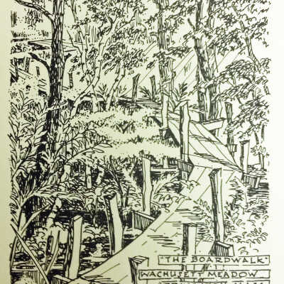 113 Goodnow Road Sketch: 'The Boardwalk"