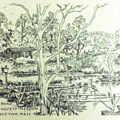 113 Goodnow Road Sketch: "The Pond"