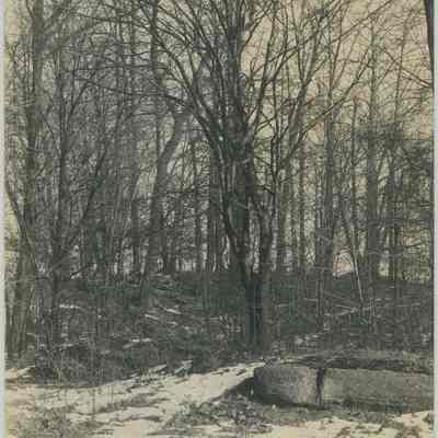 Stan Hywet Property Pre-Construction