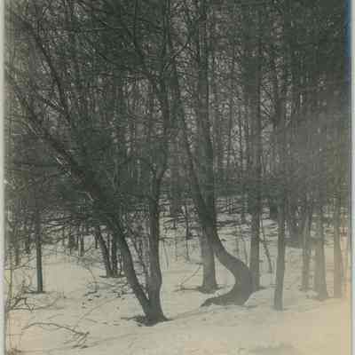 Stan Hywet Property Pre-Construction