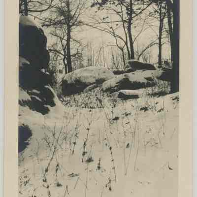 Outdoor Scenery in Winter