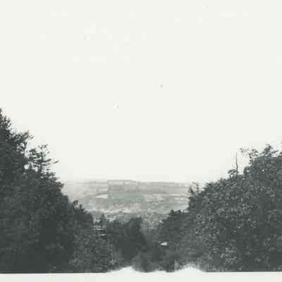 Town in the distance between trees