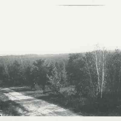 Dirt road in rural area