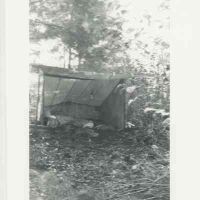Tent in a forest clearing