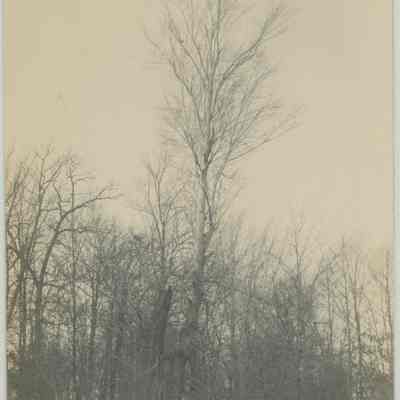 Stan Hywet Property Pre-construction in the Winter