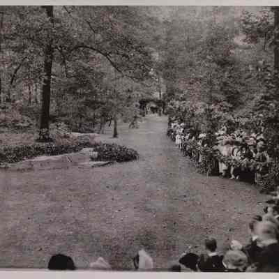 Virginia Seiberling Handy's Wedding in the Dell