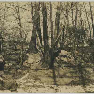 Stan Hywet Hall Garden Stairs