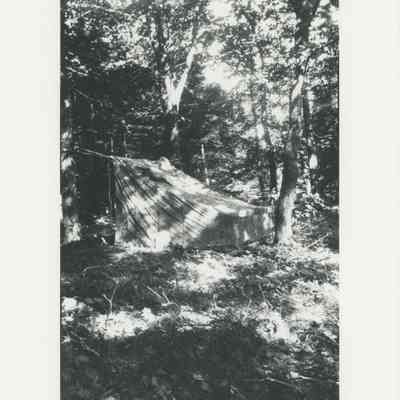 Rustic shelter in the woods