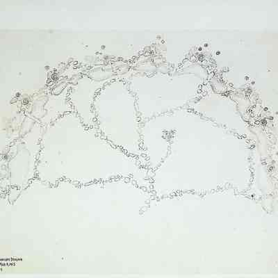 Conceptual drawing of Japanese Garden